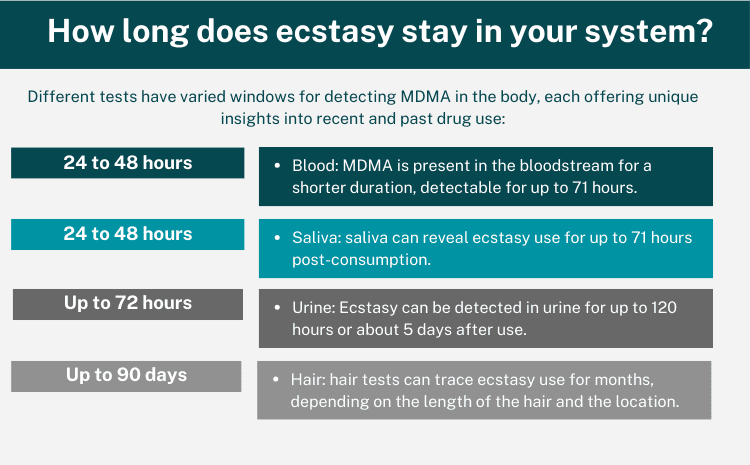 How long does ecstasy stay in your system?